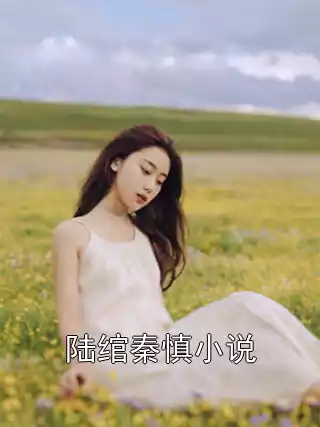 陆绾秦慎小说小说