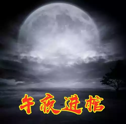 午夜进棺小说