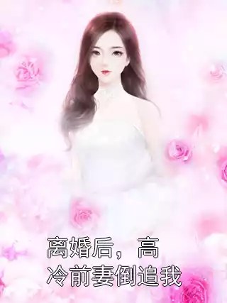 离婚后，高冷前妻倒追我小说