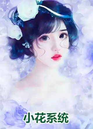 小花系统小说