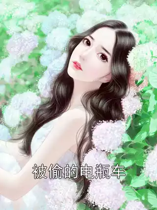 被偷的电瓶车小说