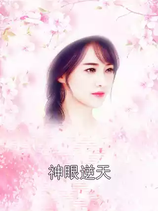 神眼逆天小说