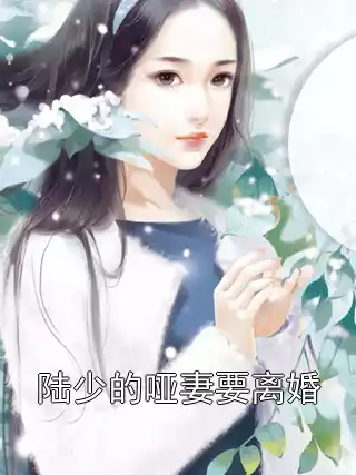 陆少的哑妻要离婚