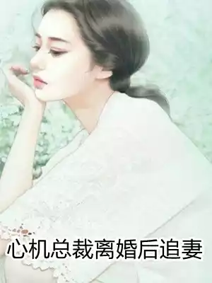 心机总裁离婚后追妻小说