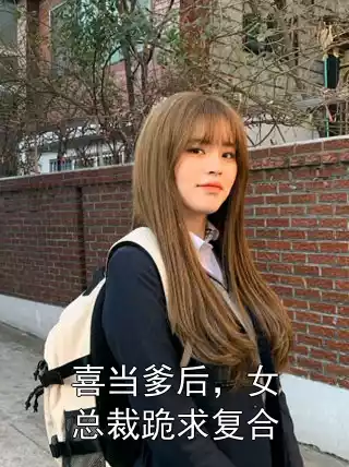 喜当爹后，女总裁跪求复合小说