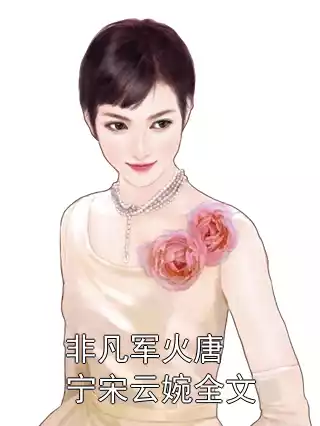 非凡军火唐宁宋云婉全文小说