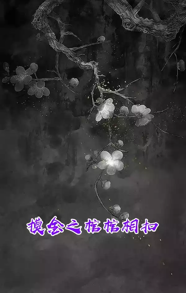 摸金之棺棺相扣